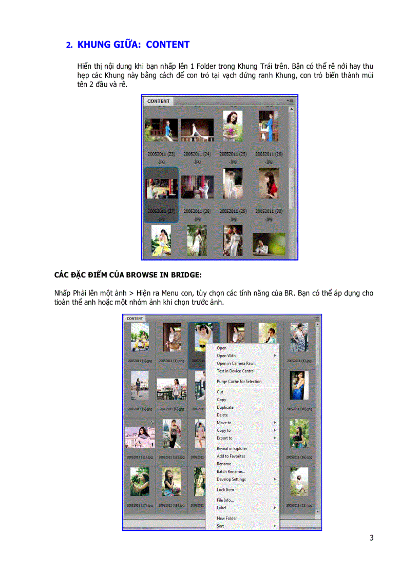 image for page Bridge in browse