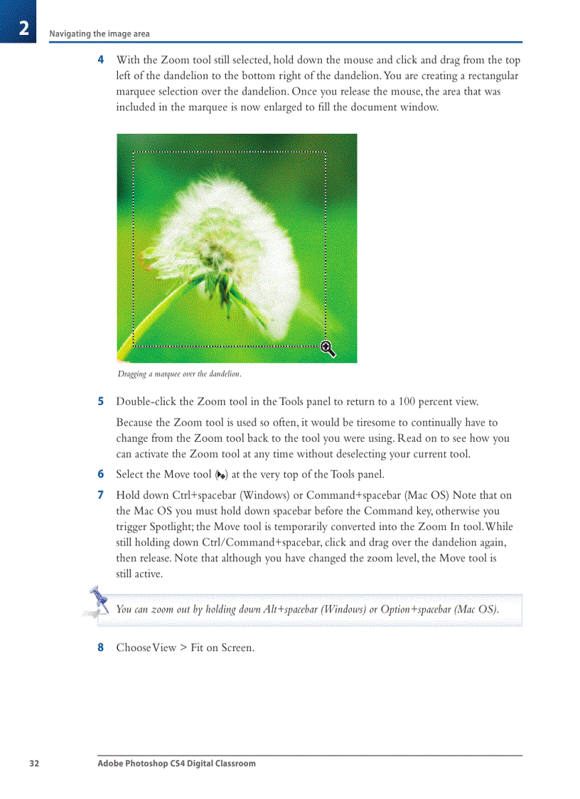 image for page Adding a text layer