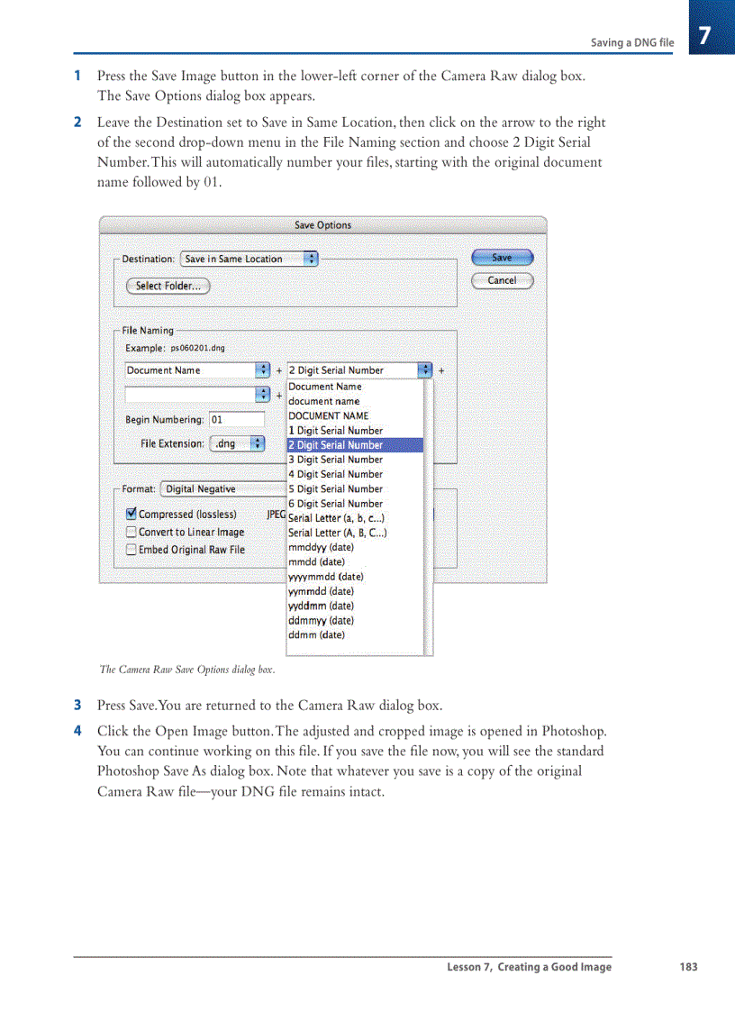 image for page Using the Camera Raw plug in