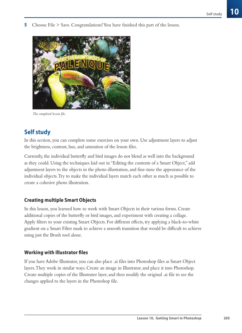 image for page Creating a composition using Smart Objects