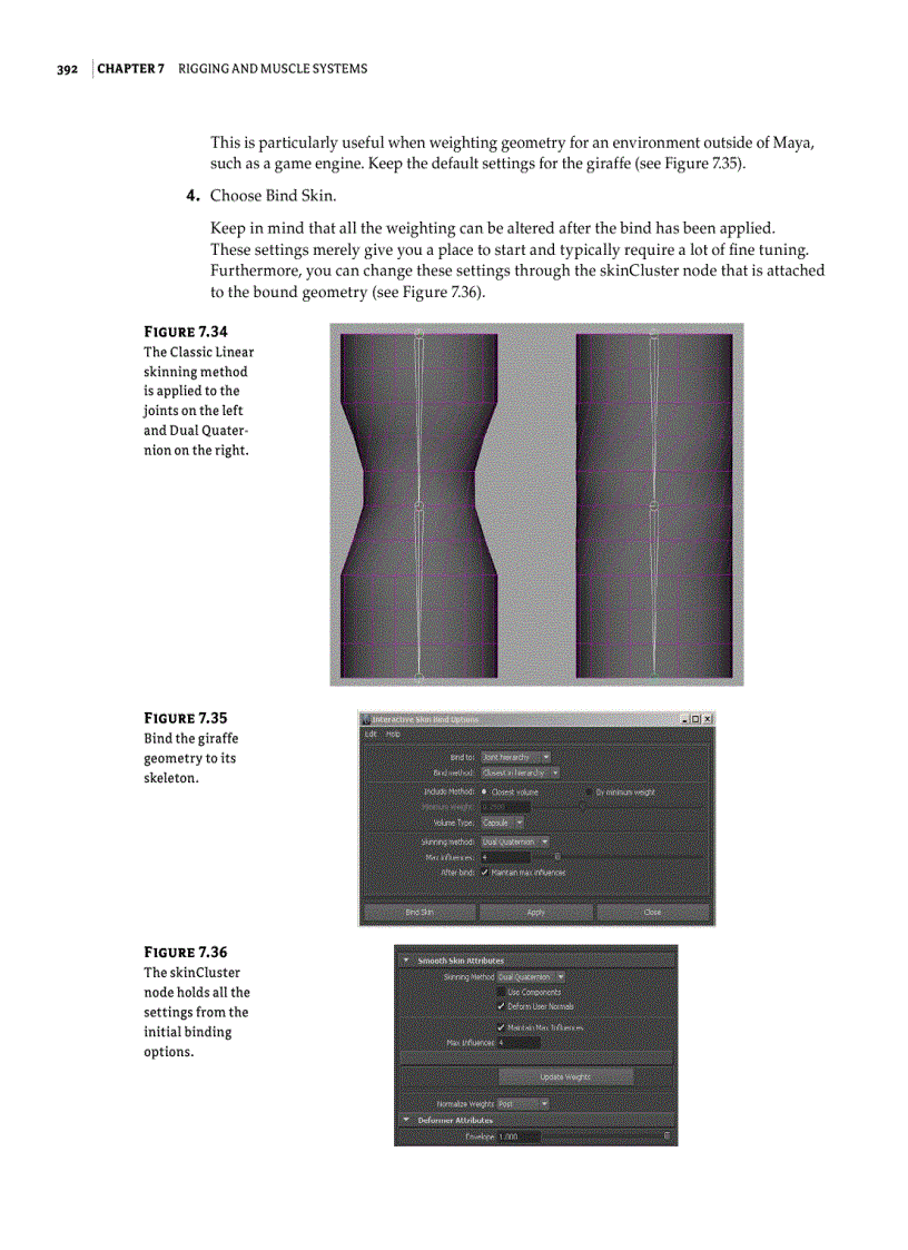 Skinning Geometry