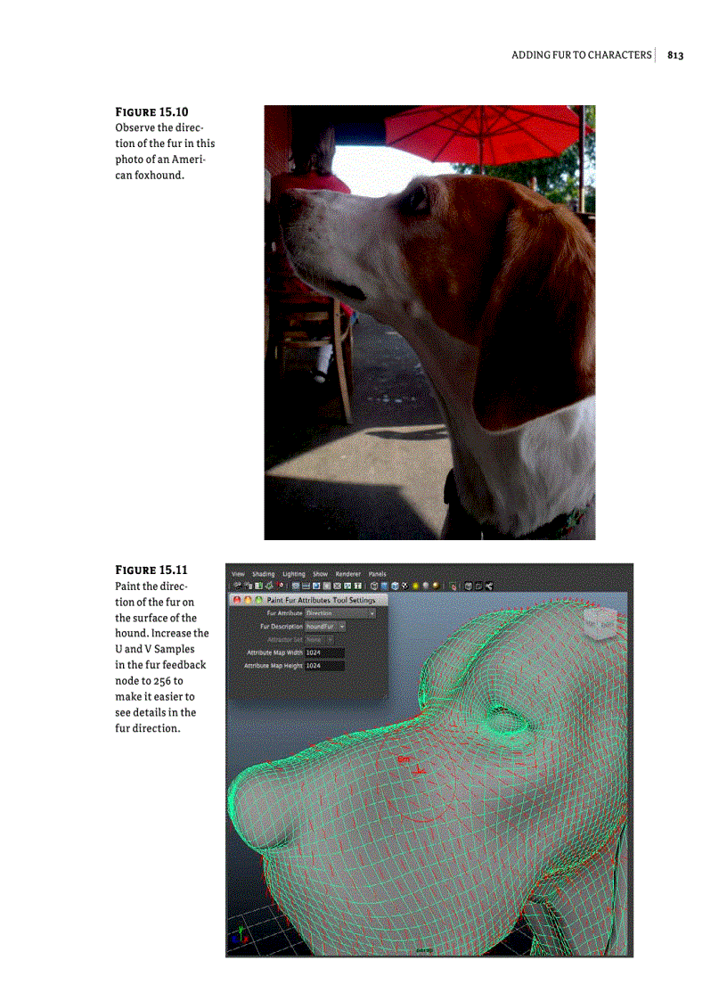 image for page Adding Fur to Characters