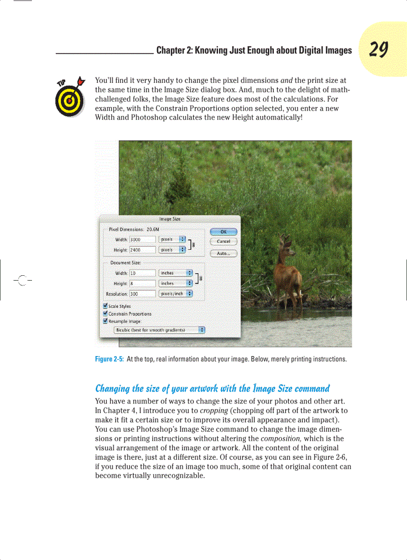 image for page Knowing Just Enough about Digital Images
