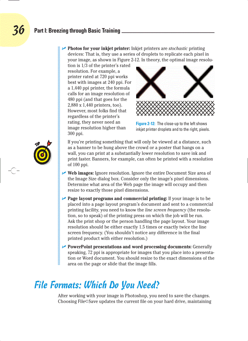 image for page Knowing Just Enough about Digital Images