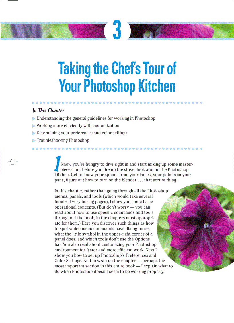 image for page Knowing Just Enough about Digital Images