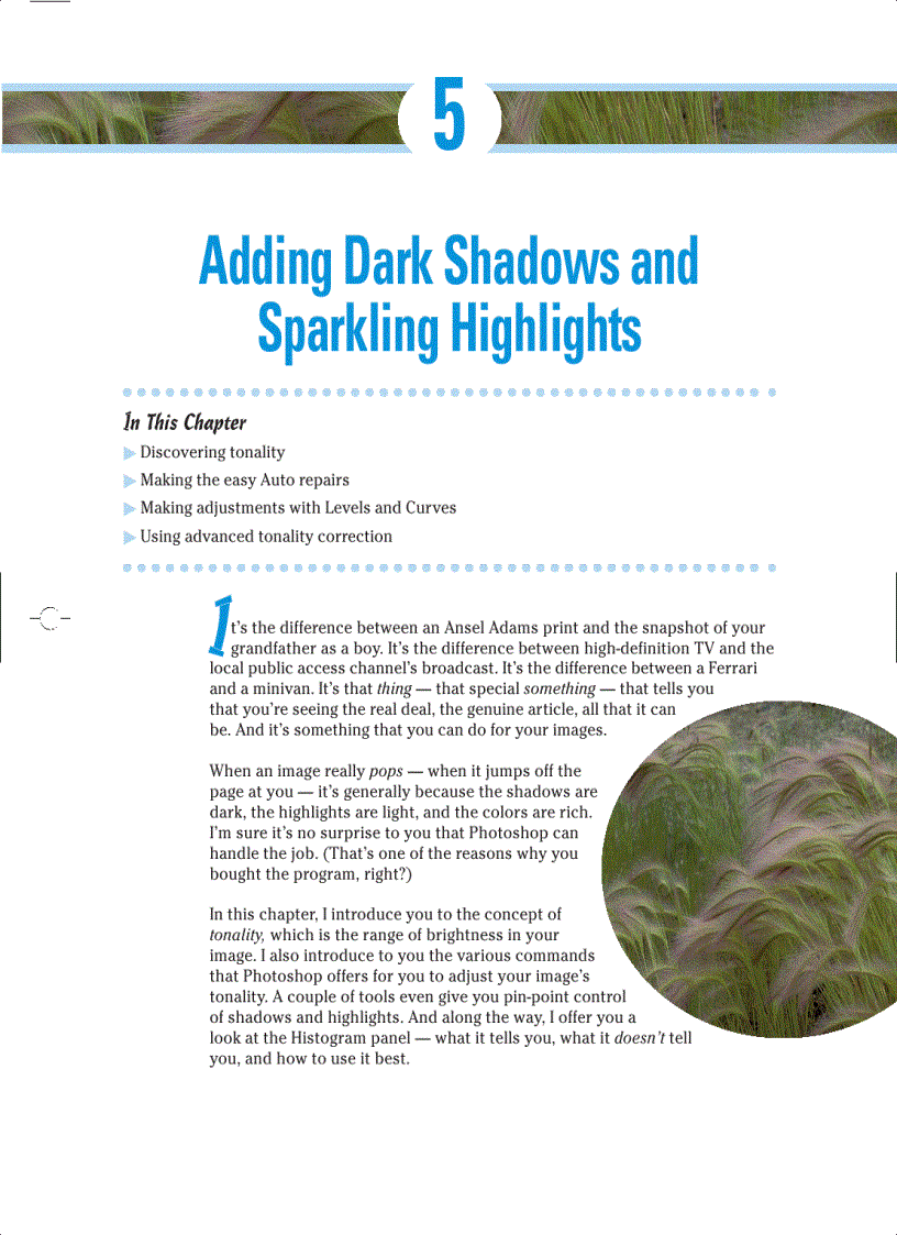 image for page Getting Images into and out of Photoshop