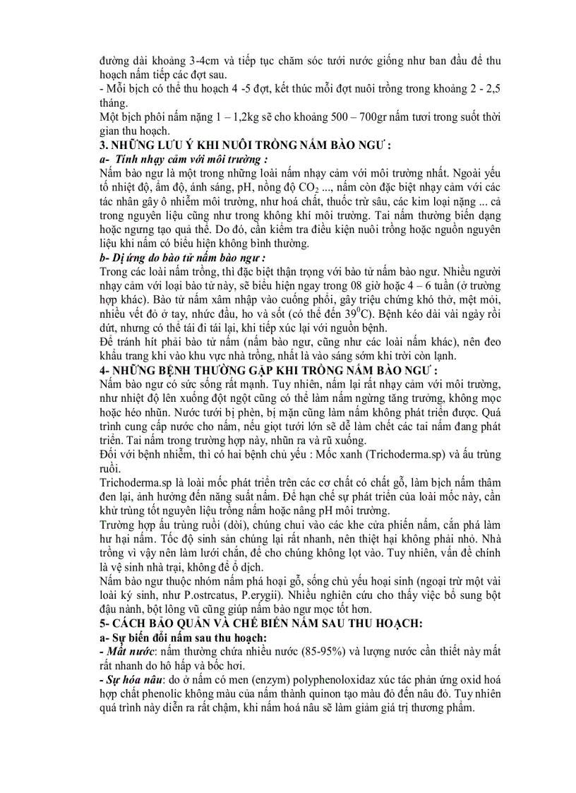 image for page Kỹ thuật nuôi trồng nấm bào ngư Nhật Pleurotus eryngii