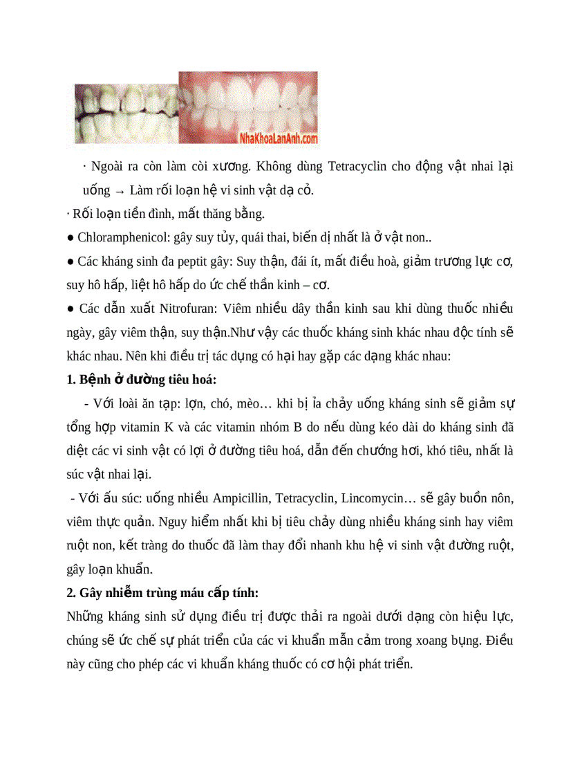 image for page Phối hợp thuốc kháng sinh