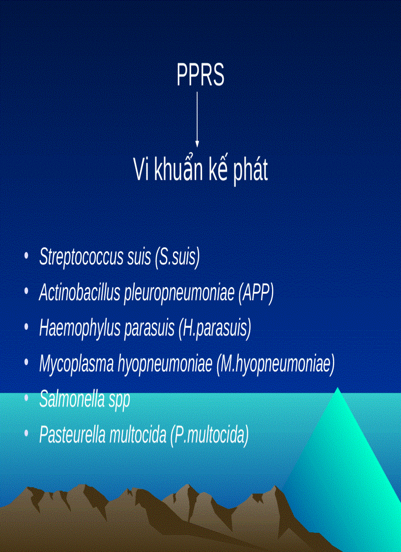 Mộ số bệnh vi khuẩn kế phát