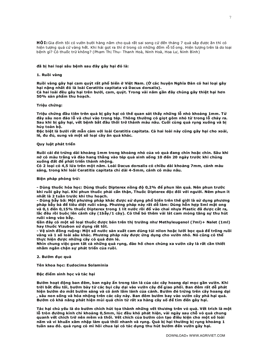 image for page Câu hỏi thường gặp trong kỹ thuật trồng trọt