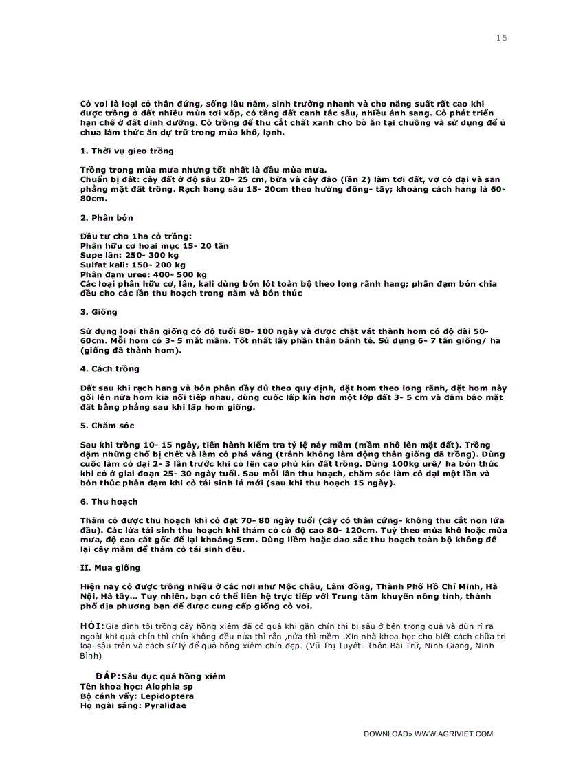 image for page Câu hỏi thường gặp trong kỹ thuật trồng trọt