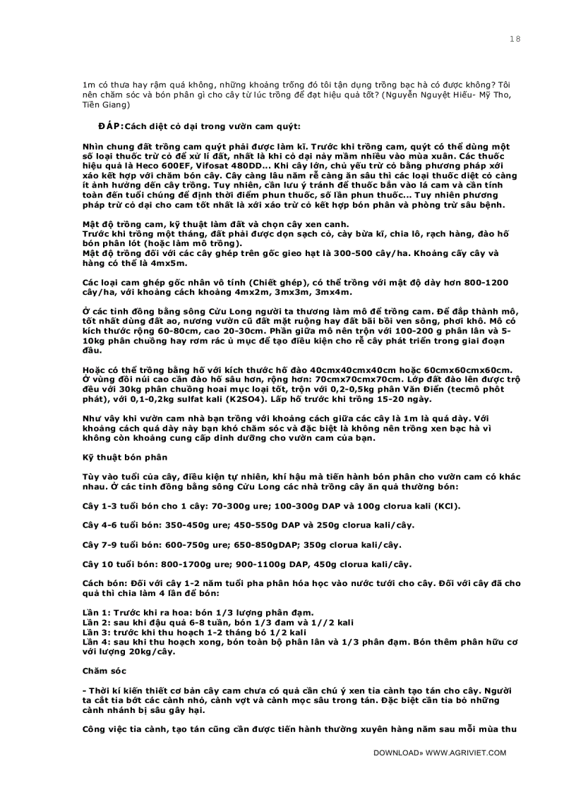 image for page Câu hỏi thường gặp trong kỹ thuật trồng trọt