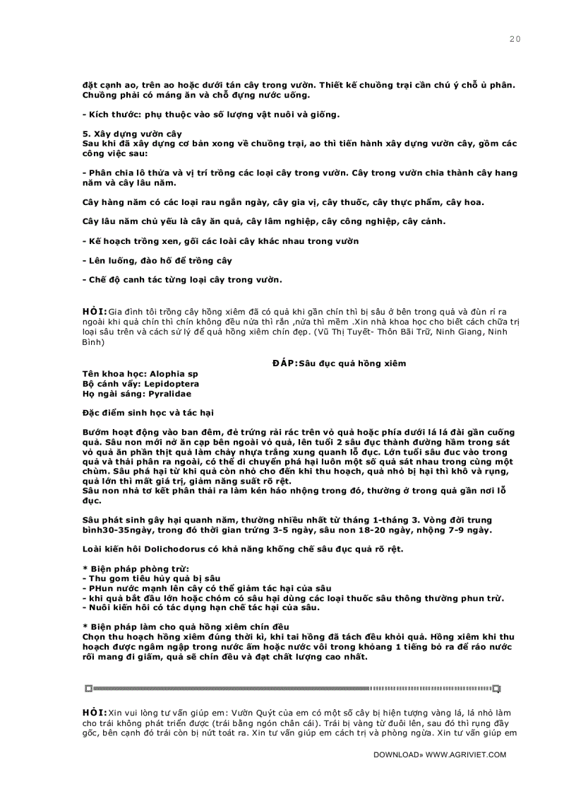 image for page Câu hỏi thường gặp trong kỹ thuật trồng trọt