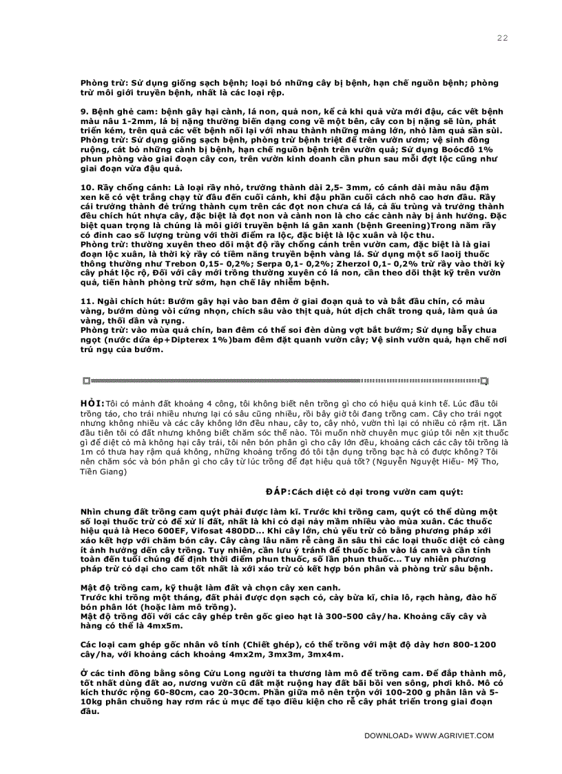 image for page Câu hỏi thường gặp trong kỹ thuật trồng trọt