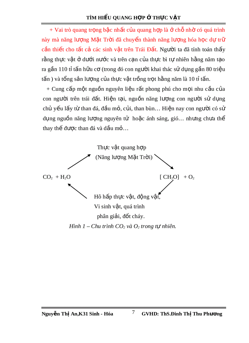 image for page Tìm hiểu quang hợp ở thực vật