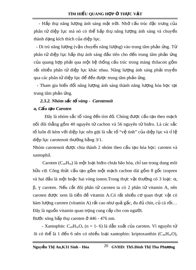 image for page Tìm hiểu quang hợp ở thực vật