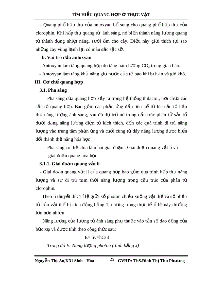 image for page Tìm hiểu quang hợp ở thực vật