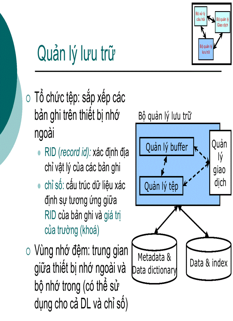 Tổ chức dữ liệu vật lý