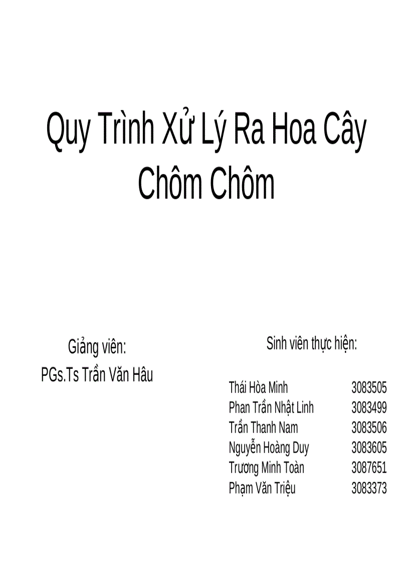 image for page Quy trình xử lý ra hoa cây chôm chôm