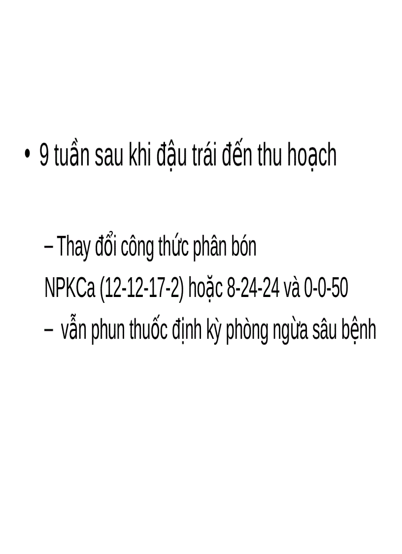 image for page Quy trình xử lý ra hoa cây chôm chôm