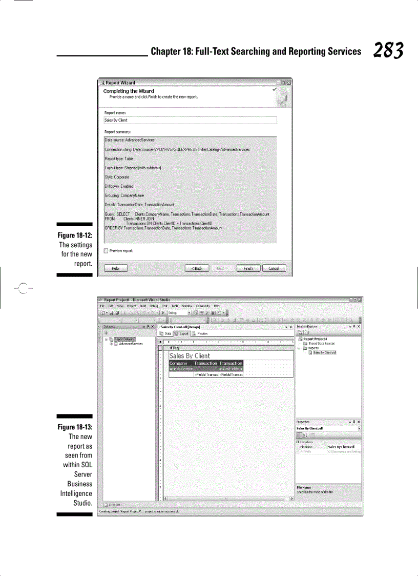 image for page Full Text Searching and Reporting Services