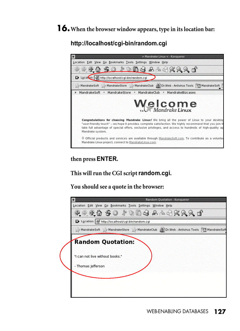 image for page Web enabling databases