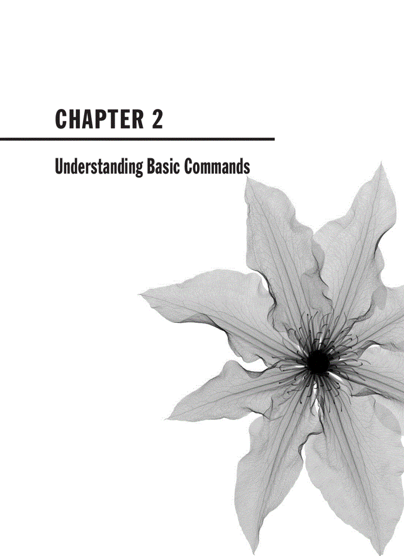 image for page A n I n t r o d u c t i o n t o M y S Q L