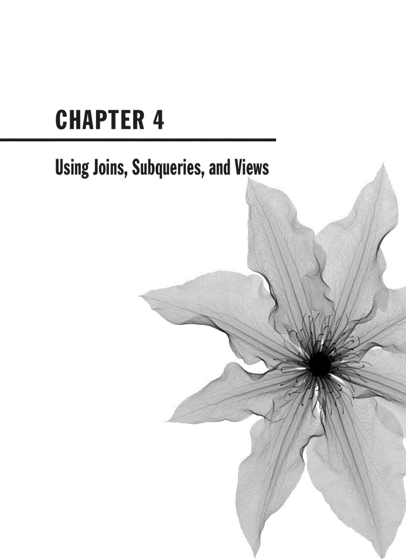 image for page M a k i n g D e s i g n D e c i s i o n s