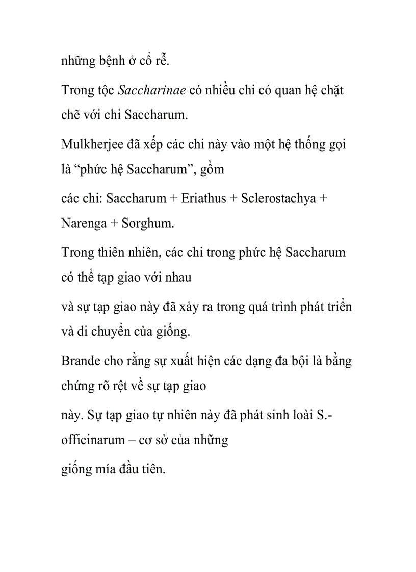 image for page Phân loại mía