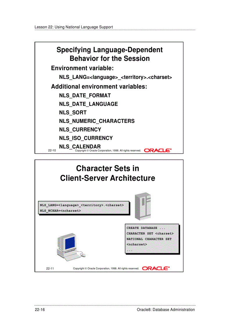 image for page Choosing a Database and a National Character Set