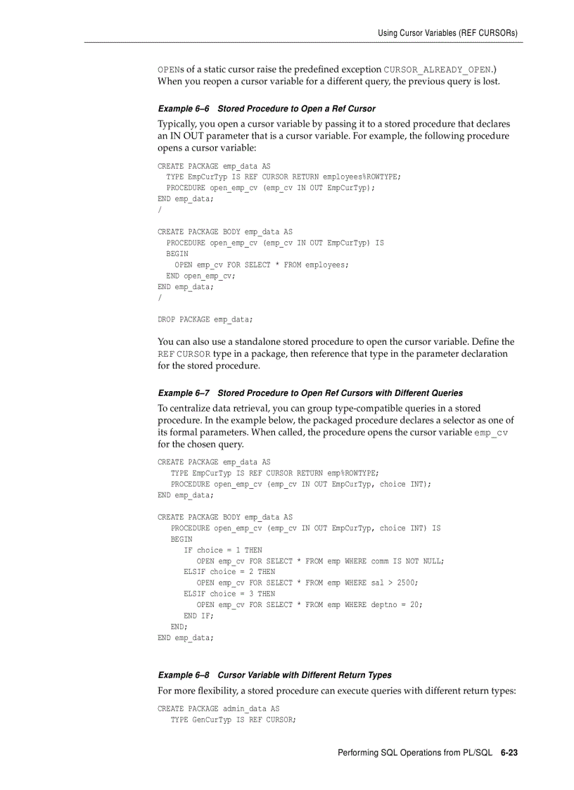 image for page Issuing Queries from PL SQL
