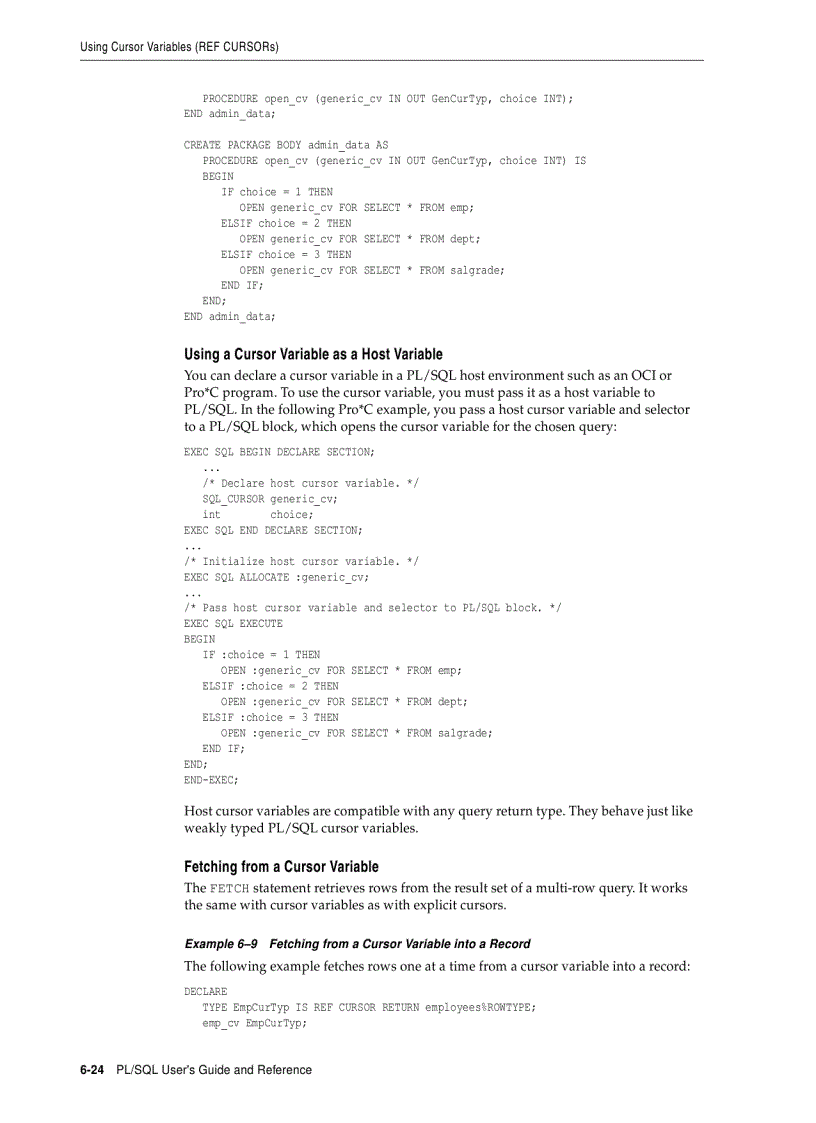 image for page Issuing Queries from PL SQL