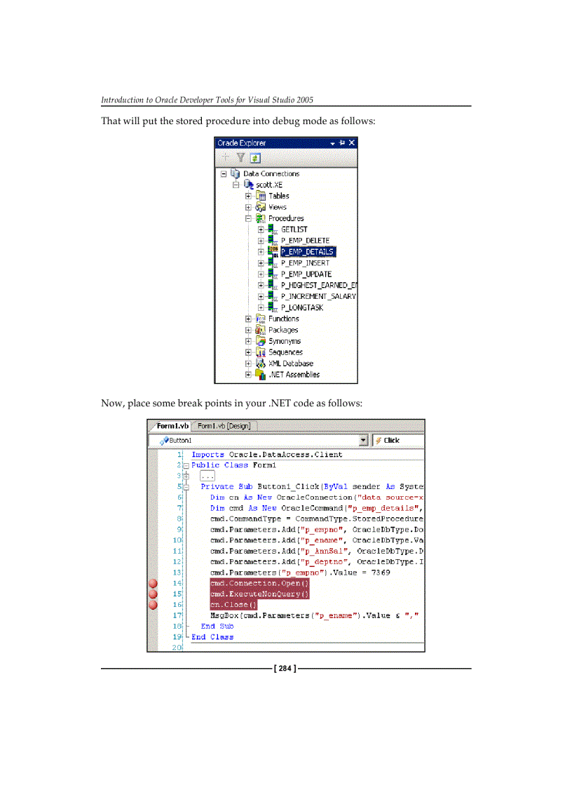 image for page Introduction to Oracle Developer Tools for Visual Studio 2005