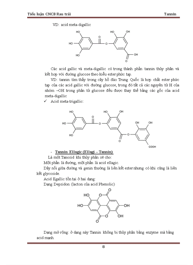 image for page Tổng quan về tannin và công nghệ sản xuất