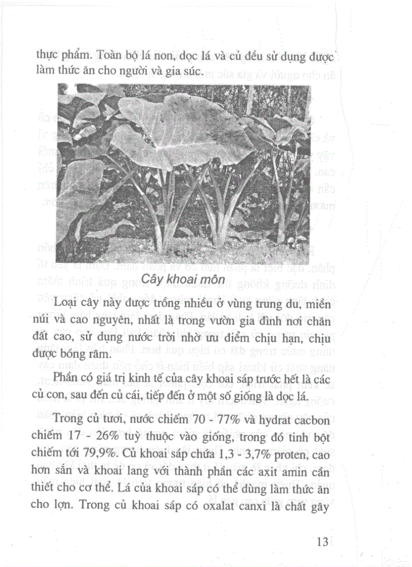 image for page Công nghệ ép dầu