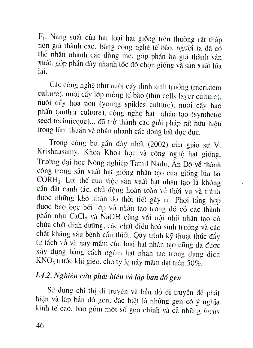 image for page Lúa lai hai dòng Khó khăn cần giải quyết là tìm ra những dòng