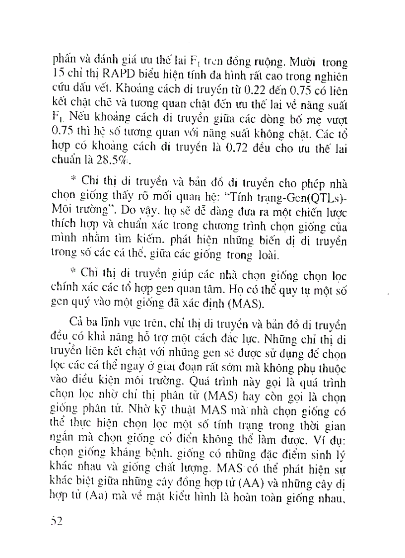 image for page Lúa lai hai dòng Khó khăn cần giải quyết là tìm ra những dòng