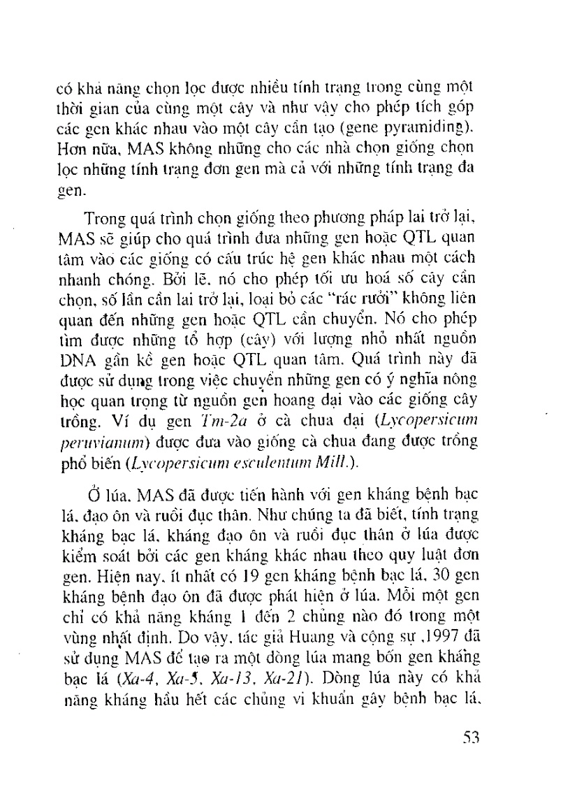 image for page Lúa lai hai dòng Khó khăn cần giải quyết là tìm ra những dòng