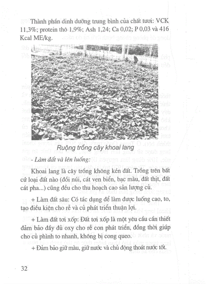 image for page Cách sử dụng các phụ phẩm của sản phẩm trồng