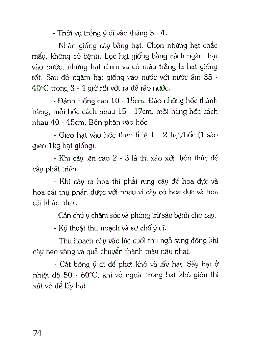 image for page Kỹ thuật trồng chế biến và sử dụng cây thuốc nam