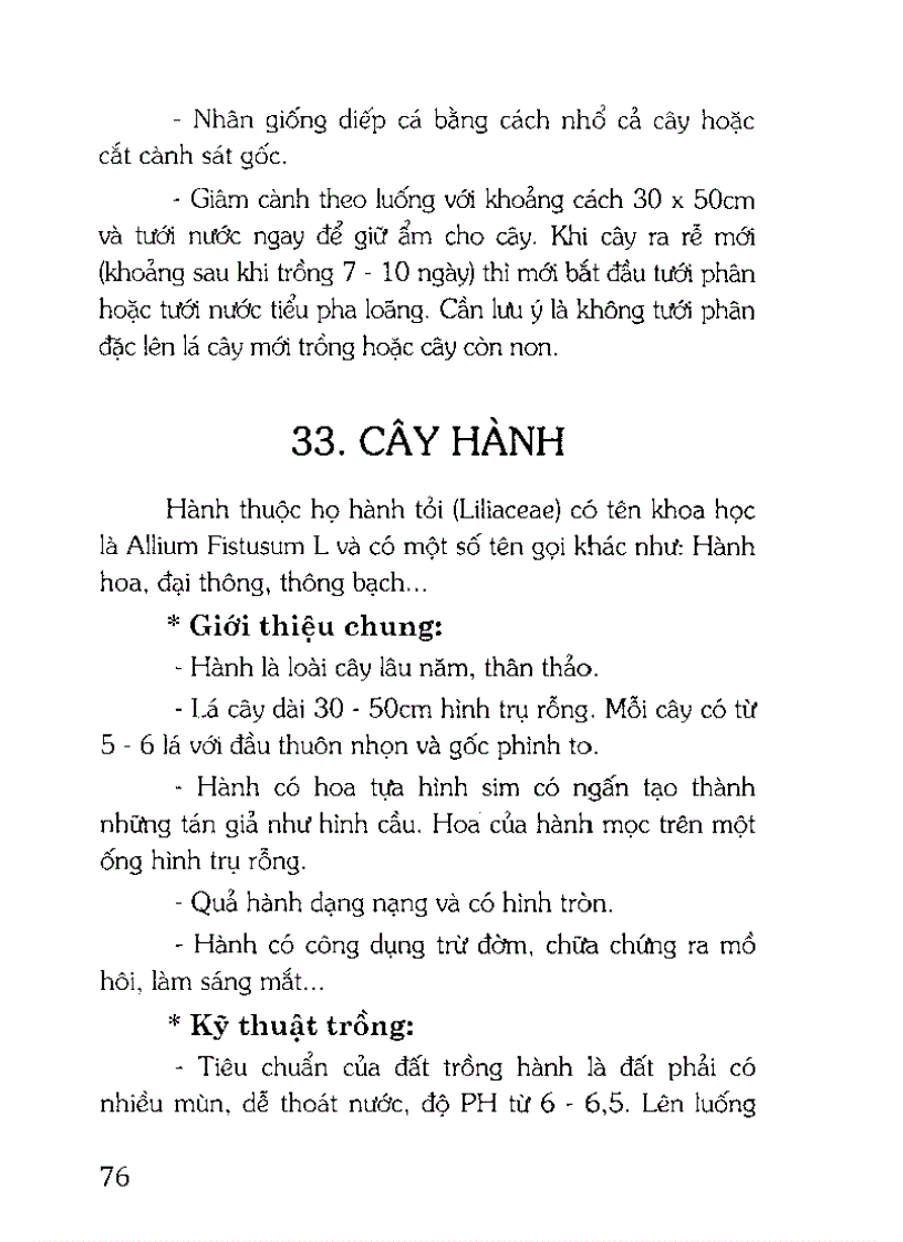 image for page Kỹ thuật trồng chế biến và sử dụng cây thuốc nam