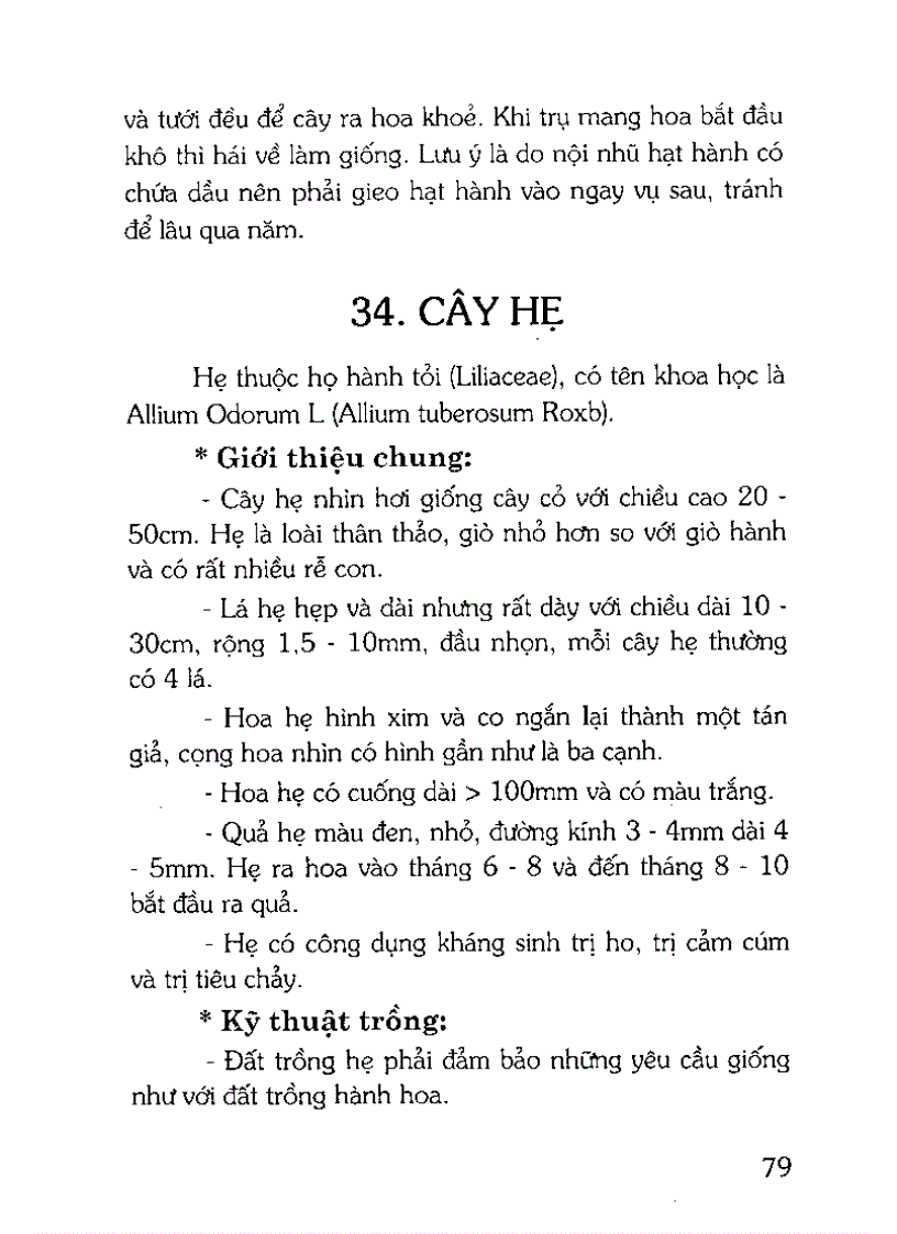 image for page Kỹ thuật trồng chế biến và sử dụng cây thuốc nam