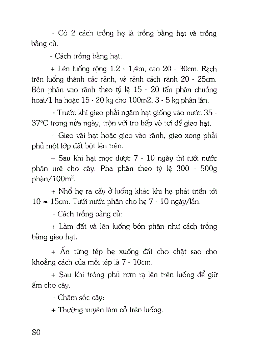 image for page Kỹ thuật trồng chế biến và sử dụng cây thuốc nam