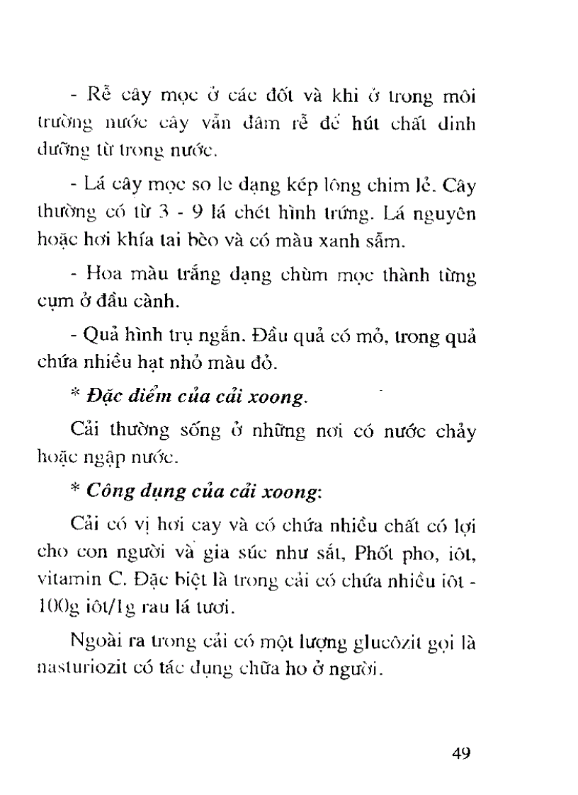 image for page Cây thức ăn gia súc giàu