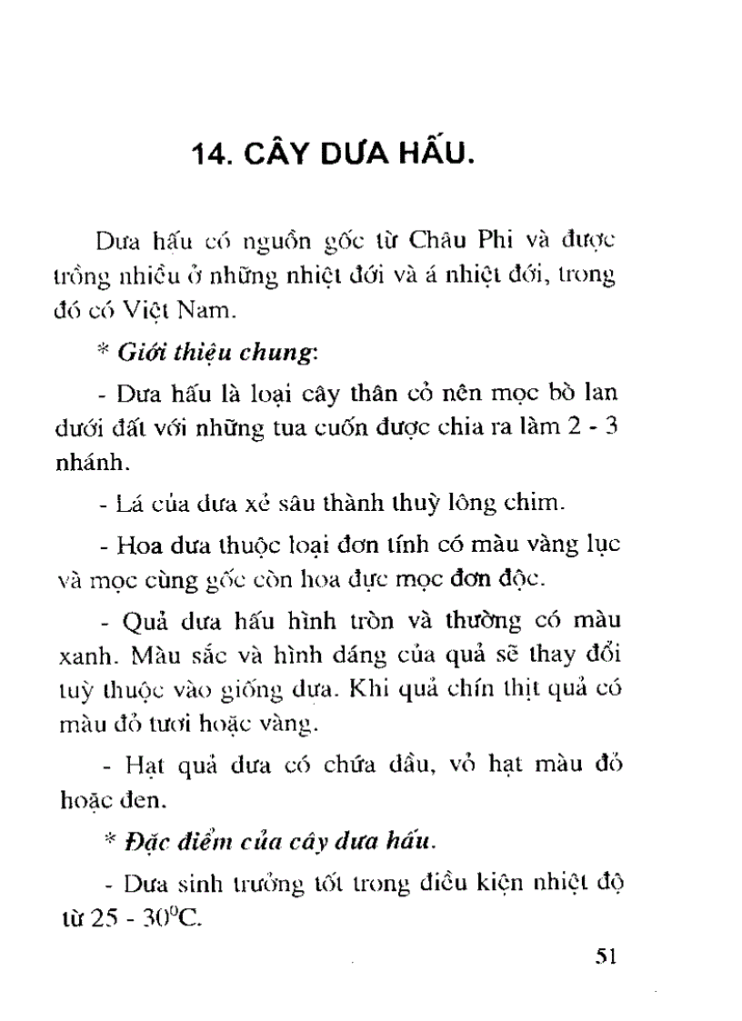 image for page Cây thức ăn gia súc giàu
