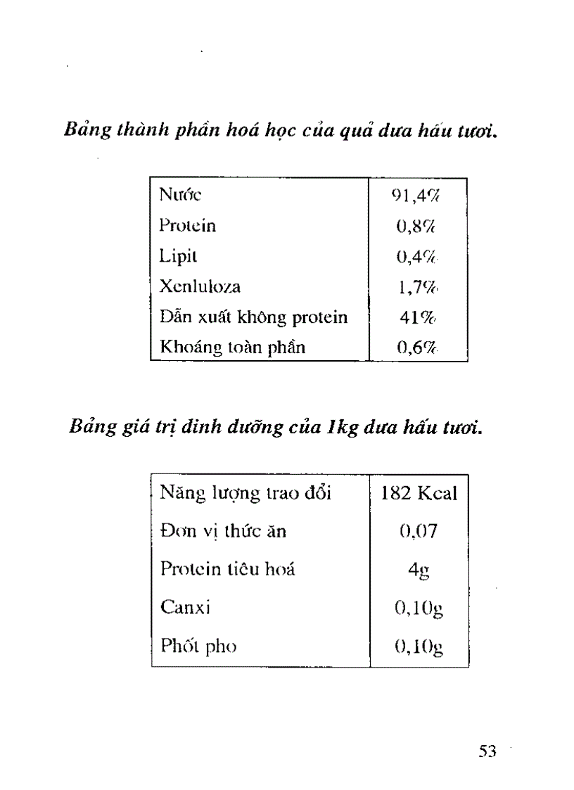 image for page Cây thức ăn gia súc giàu
