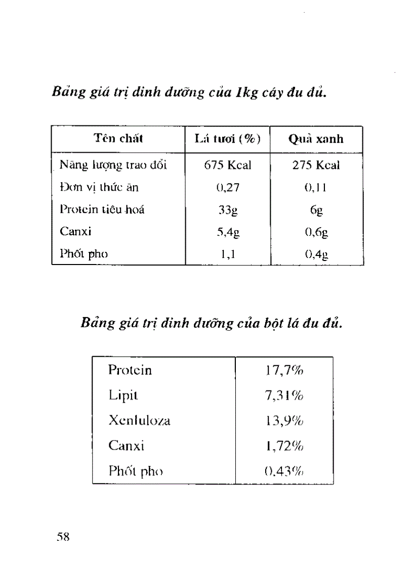 image for page Cây thức ăn gia súc giàu