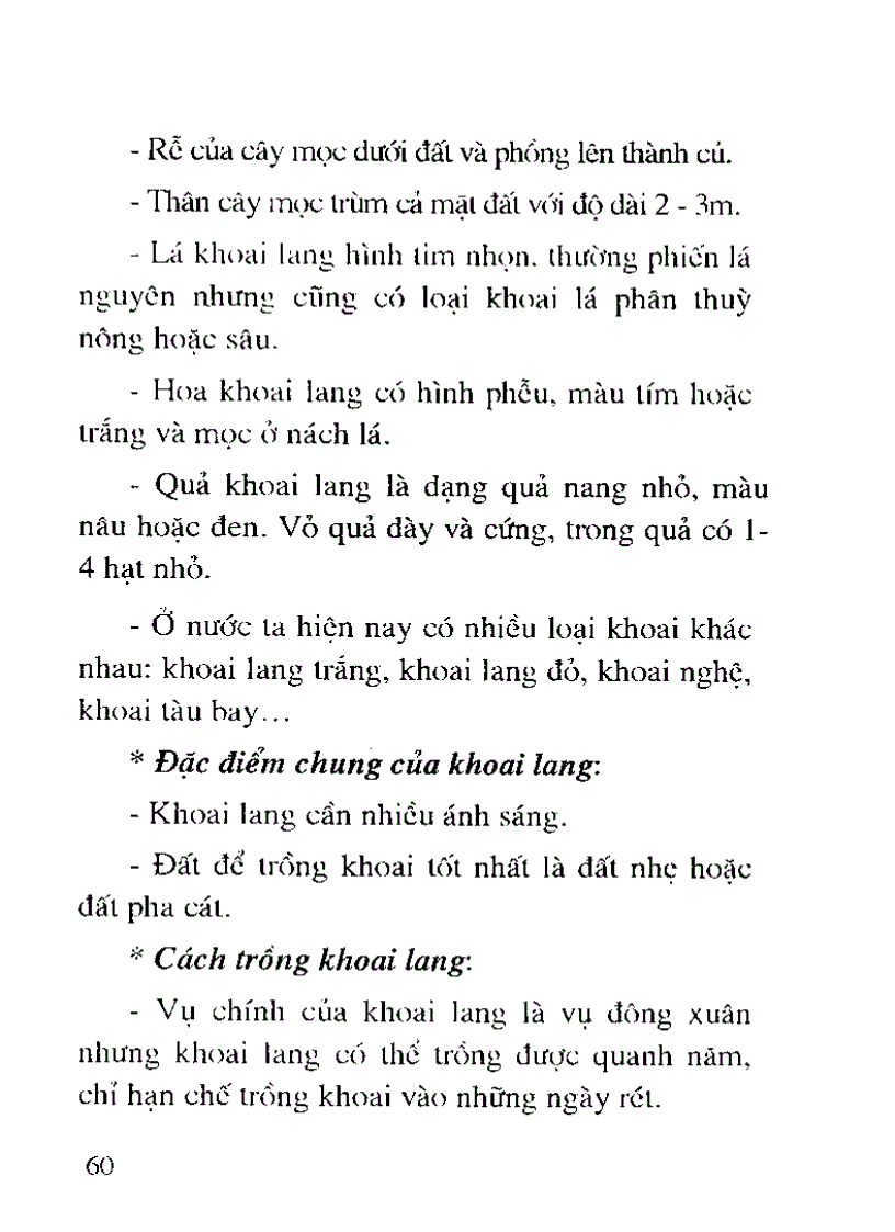 image for page Cây thức ăn gia súc giàu