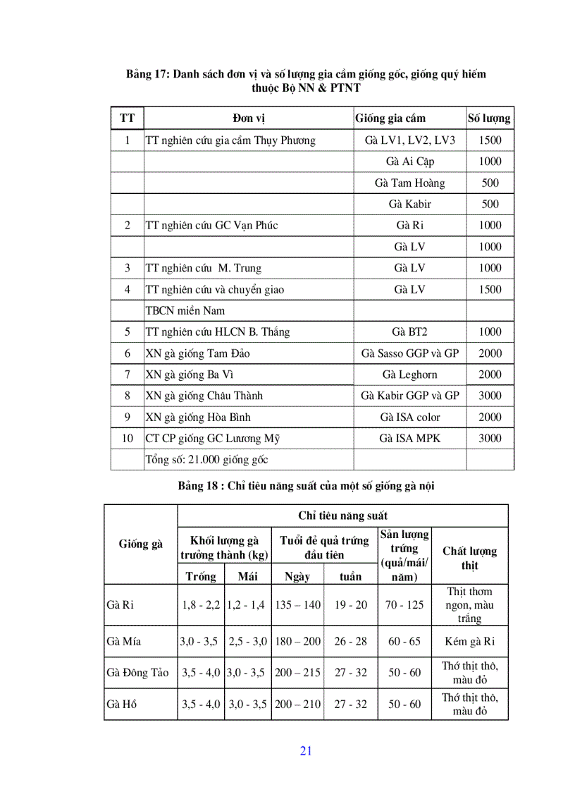 image for page Bài giảng chăn nuôi gia cầm
