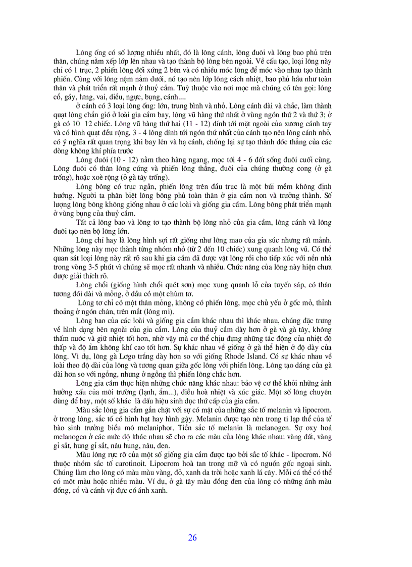 image for page Bài giảng chăn nuôi gia cầm